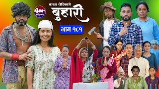 बुहारी भाग  १८१  BUHARI Episode 181  कथा चेलीकाे  Nepali Sentimental Serial  21st June 2024 [upl. by Leahcimnaj]