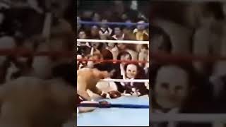 HARDEST PUNCHER EVER Earnie Shavers 19442022 [upl. by Aneehc]