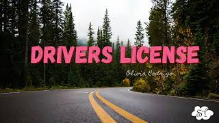 Drivers LicenseOlivia Rodrigo Lyrics [upl. by Lopes139]