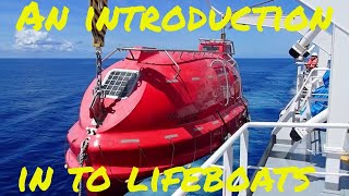 How to operate a Davit launch type Lifeboat and How to Launch it What is equipment is on board 🔝⚓🌊 [upl. by Autum]