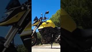 Las mejores motos 2024 shorts shortvideo motorcycle motosdeportivas honda bmw harley [upl. by Etnad408]