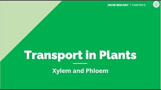 Transport in Plants  IGCSE Biology  Topic Explainer  ZNotes [upl. by Cattima]