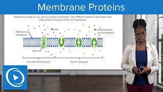 Membrane Proteins – Physiology  Lecturio Nursing [upl. by Hgieleak220]