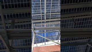 Solar Panels for Solar Canopies amp Awning Systems [upl. by Eynaffit224]