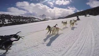 Grandvalira Mushing by GoPro  Activities Andorra 2016 [upl. by Philoo945]