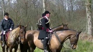 Chasse à courre au sanglier par Le Vautrait de la Vallée Brune 2016 HD [upl. by Yarak]