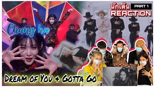 Part 1 Reaction CHUNG HA  Gotta Go amp Dream of You with R3HAB นักเต้นระดับประเทศ [upl. by Anirahtak]