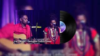 Nosy amp Mila  Veiyabaki Acoustic Cover  slowed  reverb [upl. by Calendra]