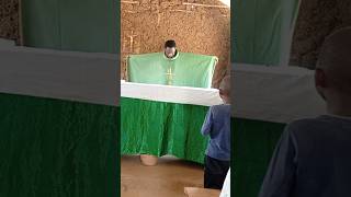 Fr Kim Vesting for Mass [upl. by Nagram39]