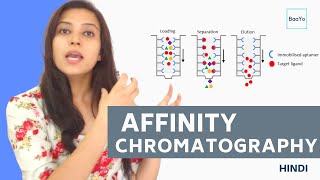 Affinity chromatography  Introduction and Principle in Hindi [upl. by Paola]