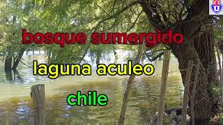 laguna aculeo video nuevecito de paquete🤘🇨🇱⚽️😀 [upl. by Tilly]