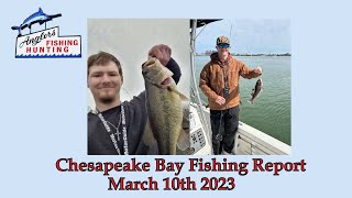 Chesapeake Bay Fishing Report March 10th 2023 [upl. by Sugna]