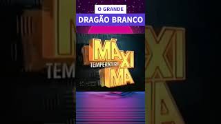 O GRANDE DRAGÃO BRANCO com VAN DAMME vandamme [upl. by Shannon640]