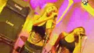 Haifa wehbe  Salem Halak live [upl. by Azyl168]