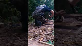 bushcraft build camp camping survival shelter wildlife skills lifehacks forest [upl. by Adnot]