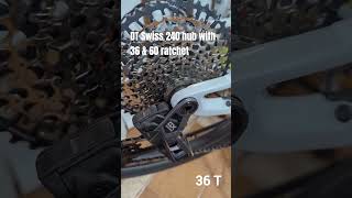 How a dt swiss 240 hub sounds with 3660 ratchet dtswiss dt240 ratchet sound  bikehub mtblove [upl. by Mitran968]