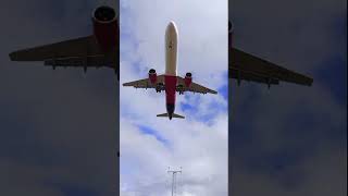 Wizz Air a321 flyover  Luton Airport  a321  aviation wizzair airbus lutonairport [upl. by Nils671]