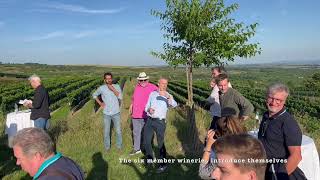 Visiting the Wagram wine region in Austria by tractor [upl. by Kcirtemed]