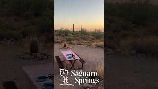 saguaro video [upl. by Panta408]