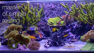 Amazing Aquariums amp Reefs Lives Up To Its Name [upl. by Esikram]