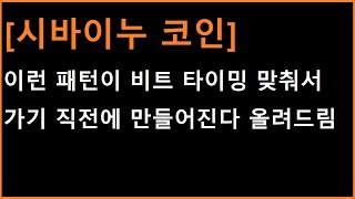 시바이누 코인 딱 타이밍 좋게 만들어버린 시점에서 다음 엄청난 목표구간과 대응방법 [upl. by Ggerc]