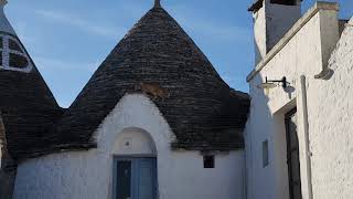 Alberobello Italy cat on a trullo roof early morning trulli no tourists [upl. by Mafalda394]