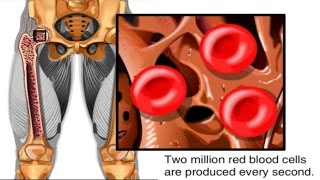 Rouleaux formation in blood cells [upl. by Notnerb191]