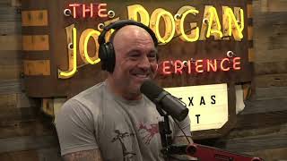 Joe Rogan discusses the start of NoGi Jiu Jitsu with Gordon Ryan amp Mo Jassim [upl. by Gregor279]