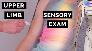 Sensory Examination of the Upper Limbs  OSCE Clip  UKMLA  CPSA [upl. by Meijer]