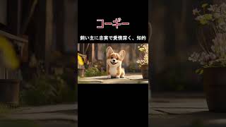 犬の種類コーギーの紹介 [upl. by Nylde]