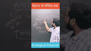 Trick to learn shape of Ecological Pyramid in different Types of Ecosystem  shorts  ytshorts [upl. by Emilia]