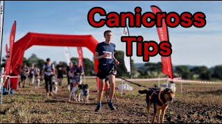 Tips for WINNING a canicross race [upl. by Loveridge]