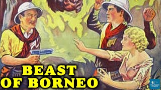 The Beast of Borneo 1934  Horror Film  Mae Stuart John Preston Eugene Sigaloff [upl. by Endys]