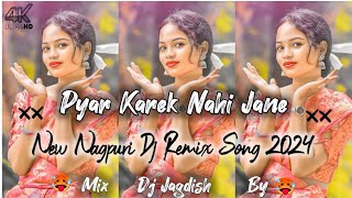 Lajathe pagli New Nagpuri Dj Song 2024 Singer Pankaj New theth nagpuri Dj song 2024nagpuridjsong [upl. by Furiya322]