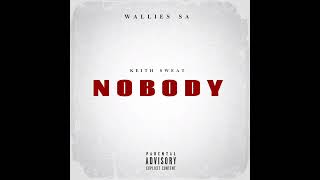 Wallies SA  Nobody Remix [upl. by Yalc60]