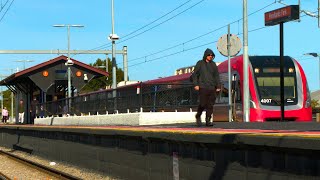 Adelaide Metro Woodlands Park Railway Station Commuter Life graffiti [upl. by Lam467]