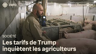 Les agriculteurs québécois inquiets des tarifs de Donald Trump [upl. by Hammel]