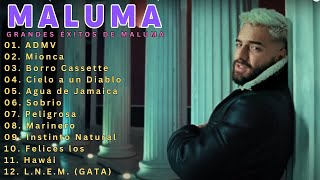 Maluma  ADMV  Mix Exitos 2024 Las Mejores Canciones [upl. by Ecinaj]