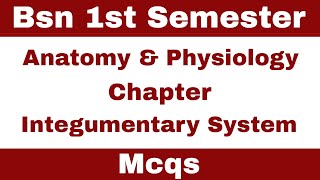 Integumentary System Mcqs  Anatomy amp Physiology  Bsn 1st Semester  Kmu Past Paper  mcqs [upl. by Brianne]