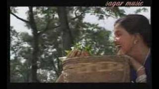 ASSAMASSAMESE  BASI ASSO RINI RINI  CHOL GAURI [upl. by Nage205]