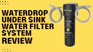 Waterdrop 10UA Under Sink Water Filter System Review Pros amp Cons Explained [upl. by Dnesnwot871]