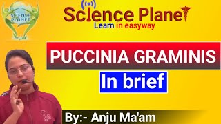 Puccinia graminis tritici Wheat Rust in brief By Anju Maam SCIENCE PLANET BIOLOGY [upl. by Nefets]