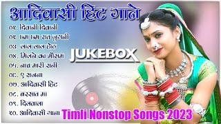 New Aadivasi Timli Song 2023 Aadiwasi Hit Songs Nonstop Timli Adivasi songs 2023 [upl. by Aba]