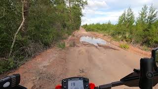 mud puddles a logging road and tree tunnels on one trail  Ocala National Forest [upl. by Sel]