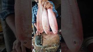 Sea Queen fish slicefishcutting food fish youtubeshorts [upl. by Enaej943]