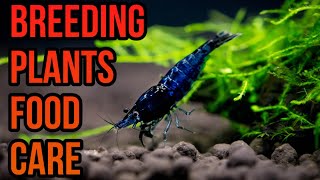 Natural Neocaridina Shrimp Tank Tour 🦐  Beginner Tips amp Channel Intro 🦐🦐🦐 [upl. by Saerdna]