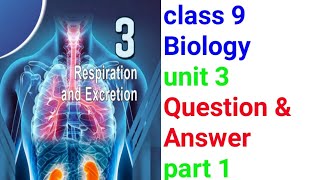 Class 9 Biology chapter 3 Respiration and Excresion Questions and Answers part 1Studytravelnew [upl. by Nwotna303]