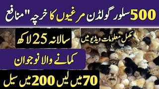 poultry farm business plan 2023 poultry farming for beginners azad chaiwala  chicken farming [upl. by Napier]