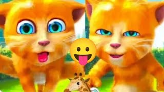 Talking Ginger 2 🍓🍕🌶️🍎 ll my talking ginger cat ll talking tom ll talking ginger funny ll Game ll [upl. by Jilly]