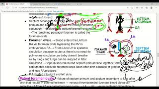 Development Of Heart Part2  Heart embryology  Cardiovascular system  First Aid Lectures  Lec2 [upl. by Marlene]